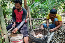 Kolang Kaling Jadi Alternatif...