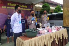 Daging Babi yang Beredar...
