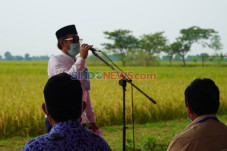 Bangun Ketahanan Pangan,...