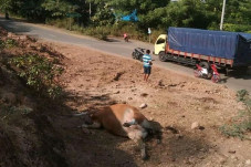 Warga Sape Bima Minta...