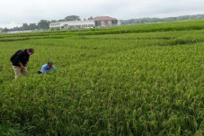 Bupati Kulonprogo Jamin...