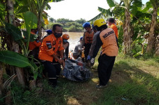 Penjudi Sabung Ayam...