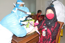 Dinkes Solo Rapid Test...