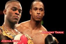 Singa Yarde vs Serigala...