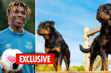 Moise Kean Habiskan...