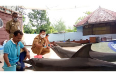 Jelang New Normal, Wihaji...