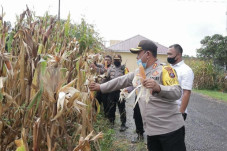 Kapolres Simalungun...
