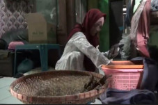 Menabung 20 Tahun, Penjual...