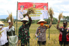Kapolres Lahat Panen...