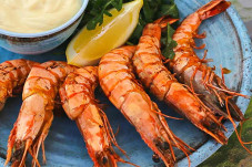 Ingin Olahan Udang Lebih...