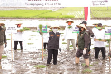 Gubernur Jatim Percepat...