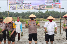 Perkuat Ketahanan Pangan,...