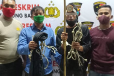 IRW 11 Kali Mencuri...