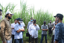 BKPM Tertarik Kembangkan...