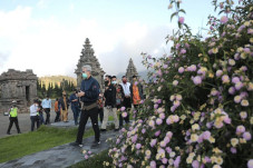 Dieng Bersiap Dibuka,...