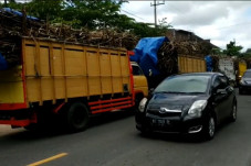 Antrean Truk Masuk Pabrik...