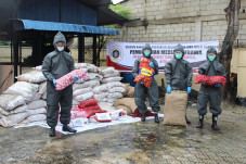 1,5 Ton Bawang Impor...