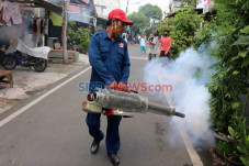Kasus Chikungunya di...