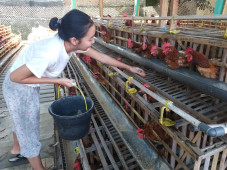 Gulirkan PKBL Rp65,6...