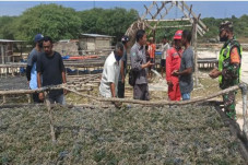 Proyek PLTU Timor 1...