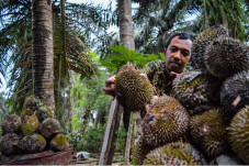 Cuaca Buruk, Petani...