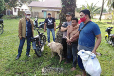 Mencuri Kambing Milik...