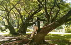 Hutan Kota di Jabodetabek...