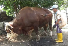 Warga Boyolali Berharap...