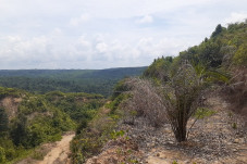 Sengketa lahan di Asahan,...