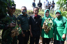 Cerita Pak Pitoyo Bisa...