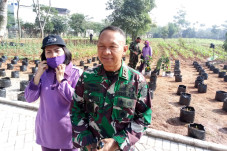TNI Siap Kelola 165.000...