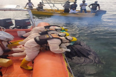 Nelayan Hilang di Perairan...