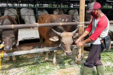 PD Dharma Jaya Datangkan...