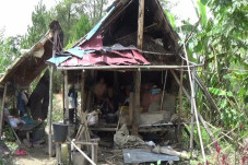 5 Tahun Tinggal di Gubuk,...