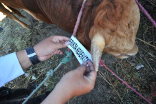 Catat! Lihat Sticker...
