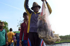 Kemenperin Kembangkan...