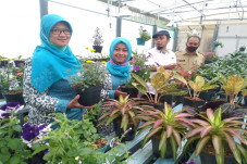 Kampung KB Lingga Asri...