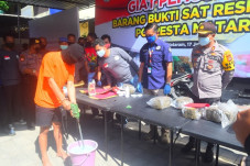 Sabu 3 Kg Diblender...