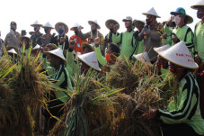 Kapolda Jateng Ikut...