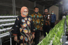 Serap 70% Pekerja, Kemnaker...