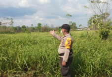 Nasib Si Lumbung Pangan...