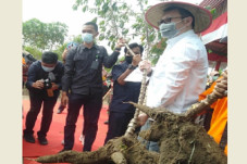 Lahan Gambut Karhutla...
