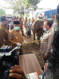 Bupati Pasangkayu Terima...