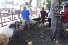 Pandemi COVID-19, Penjualan...