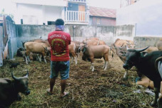 Ragam Cara Kelompok...