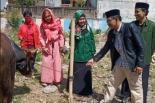 PDIP Serahkan Sapi Kurban...
