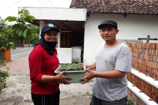 Di Tengah Pandemi, KKN...