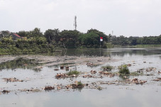 DLH Tangsel: Limbah...
