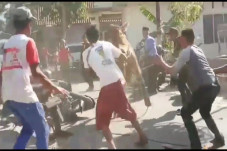Hendak Disembelih, Sapi...
