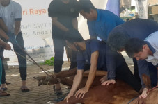 Rifan Financindo Berjangka...